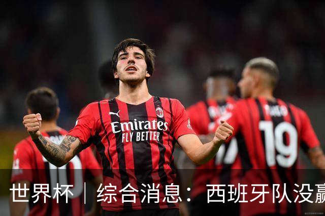 世界杯｜综合消息：西班牙队没赢 亚洲球队不败