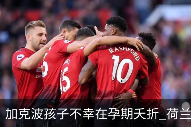 加克波孩子不幸在孕期夭折 荷兰足协：球员愿留队征战